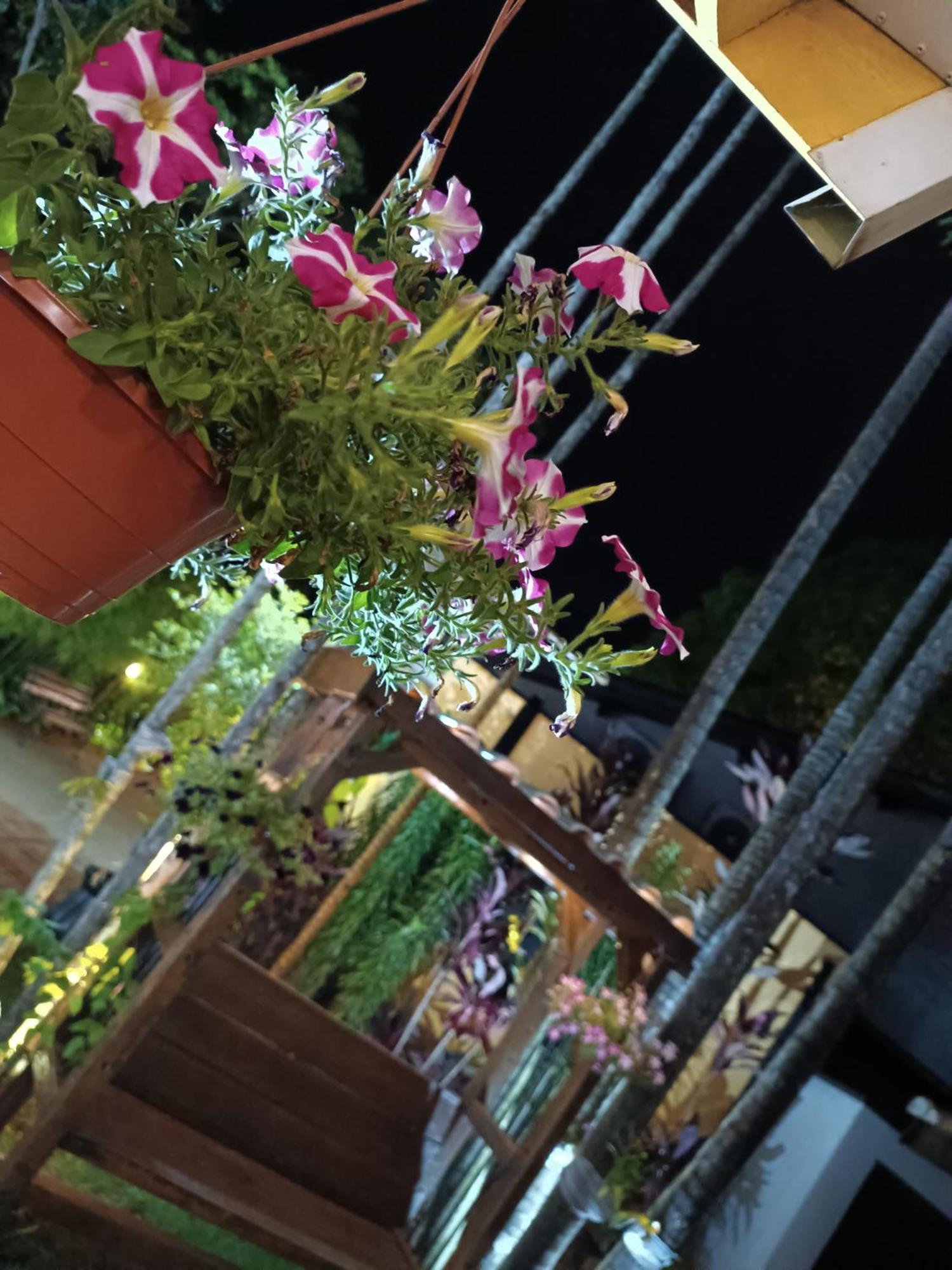 Hotel Flores De Holambra Ngoại thất bức ảnh